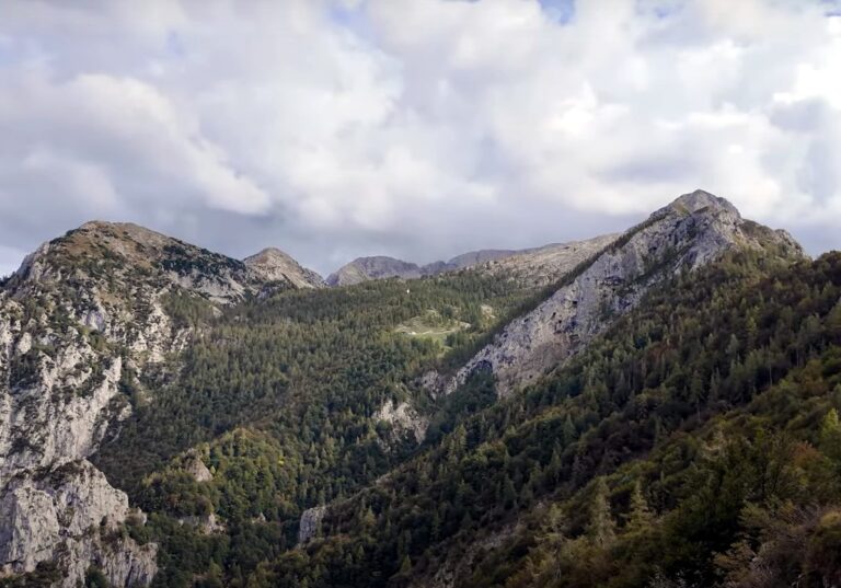 grigna settentrionale