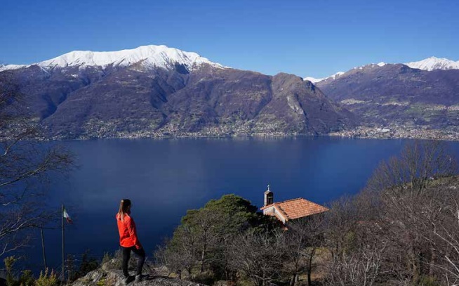 MONTI