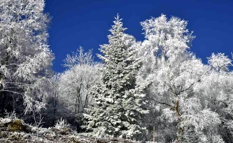 piani resinelli 2
