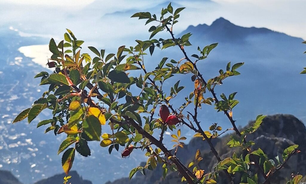 sentiero natura piani reesineli lecco laghi e valli