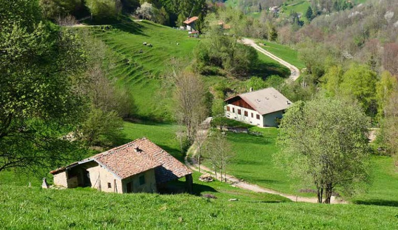 Vendrogno-San Grato: due passi tra natura e fede 13 ALPE