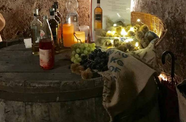 Assaporando le cantine di Dervio, scrigni di antichi gusti