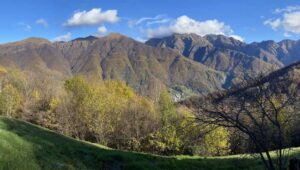 Da Primaluna al Rifugio Riva, passeggiando tra magnifici boschi
