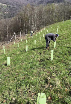Alla scoperta dei tartufi lariani, ‘tesoro nero’ del Lago di Como