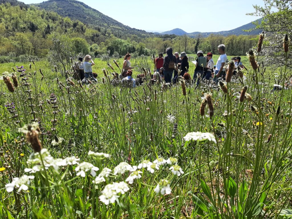 Alla scoperta delle erbe spontanee della Valsassina