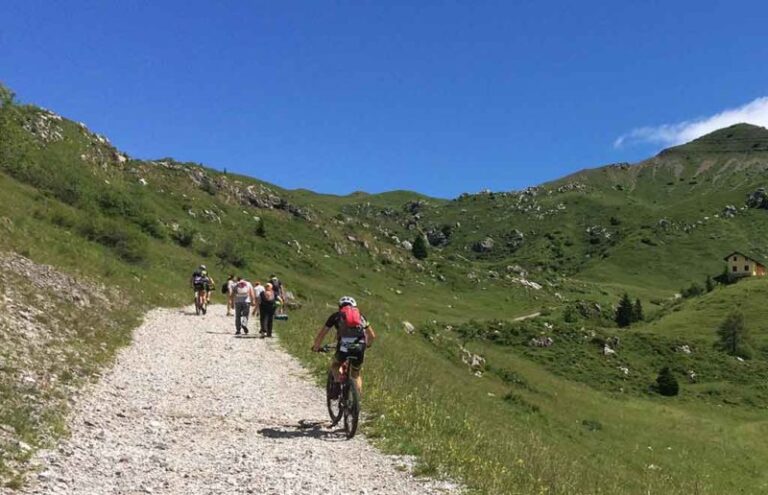 artavaggio 1 800x516 1