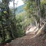 La nuova strada