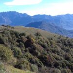 Resegone e paesaggio 1