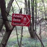 Anello cascata